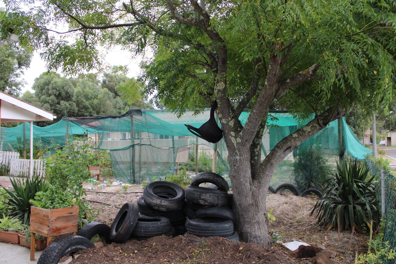 Avee Empire Clean Garden
